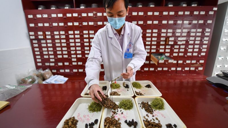 Gigante chinesa da MTC importará ervas medicinais da Rússia e da Indonésia