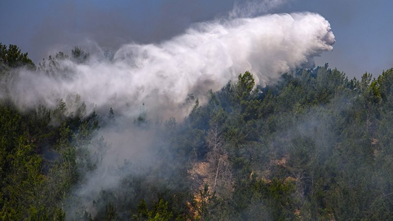 Portugal registra menos incêndios rurais em 2023