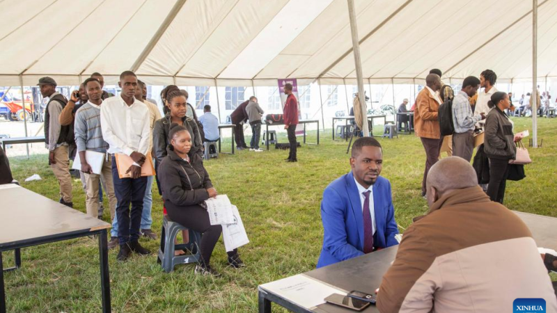 Empresas chinesas usam feira agrícola e comercial para atrair candidatos a emprego na Zâmbia