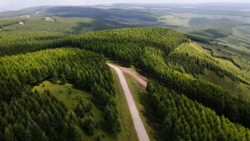 Área de erosão hídrica e do solo da China diminui em 2022