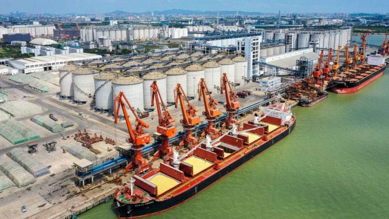 Observatório Econômico: China contribui com força para a parceria de cooperação ganha-ganha do BRICS