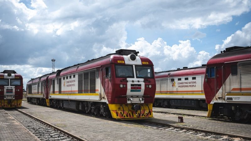 Cooperação da África com BRICS é um “divisor de águas” para o crescimento