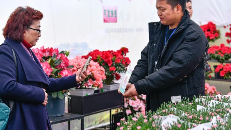 Pagamentos sem papel-moeda na China registram crescimento sólido no segundo trimestre