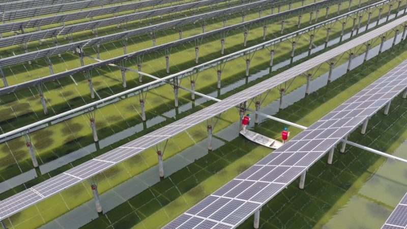 Capacidade instalada de energia renovável da China registra crescimento constante