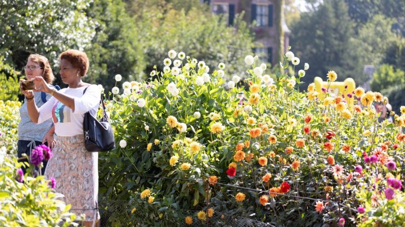 Holandeses e chineses exploram potenciais para cooperação agrícola