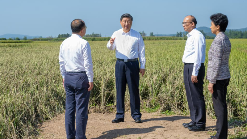 Xi visita aldeões afetados por inundações na Província de Heilongjiang