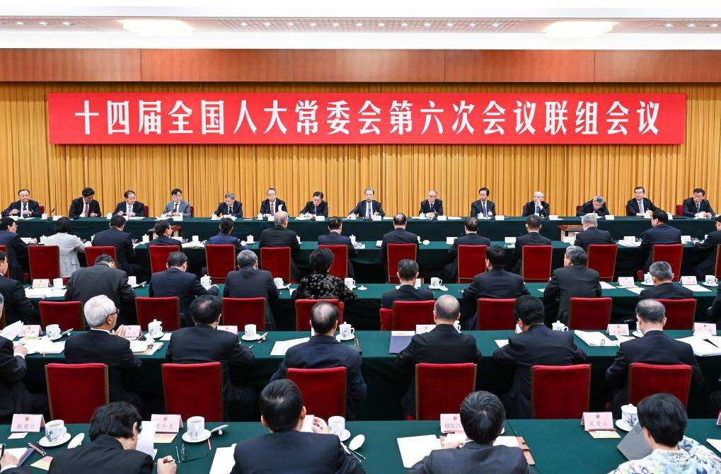 Principal órgão legislativo da China realiza reunião de inquirição conjunta sobre proteção do meio ambiente e recursos