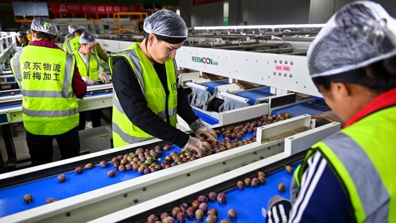 Expo Internacional da Cadeia de Fornecimento da China conclui recrutamento de expositores