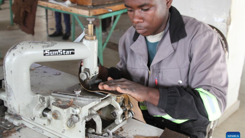 Empresas do Zimbábue buscam novos nichos através da Exposição de Importação da China