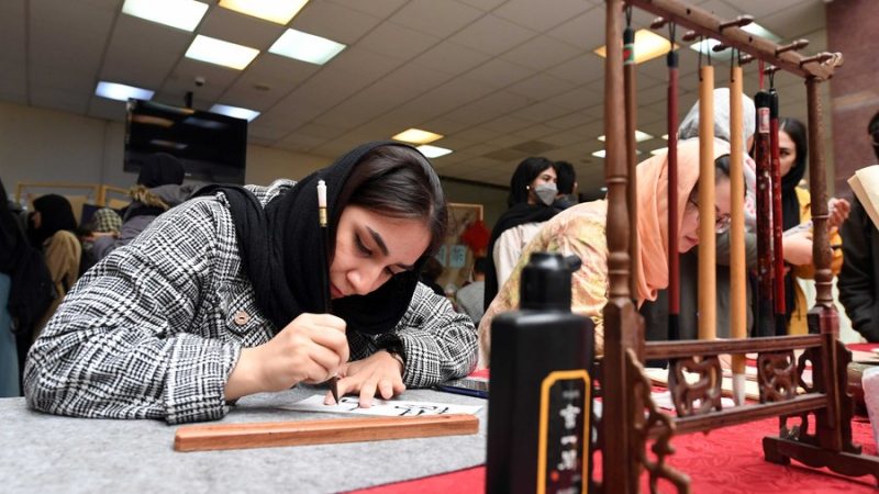 Estudantes iranianos de chinês querem promover a cultura chinesa