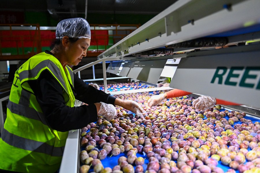 Conferência destaca avanço dos direitos humanos em Xinjiang