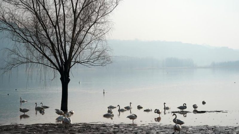 Promotores chineses visam proteção do rio Amarelo com nova iniciativa