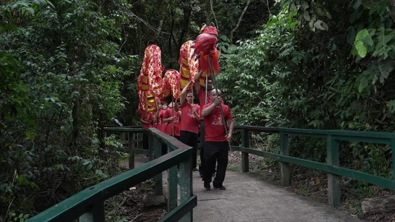 Cataratas do Iguaçu recebem celebração colorida do Ano Novo Chinês