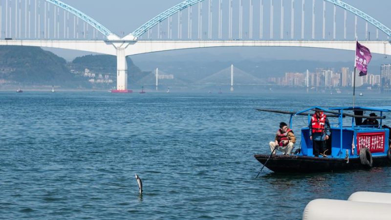  Rio Yangtzé da China apresenta melhoria de qualidade de água em 2023