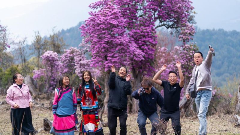 Destaques de dados no feriado de Qingming da China revelam vitalidade econômica