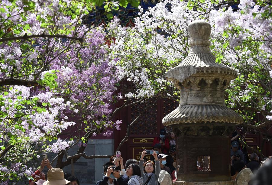 Renda nominal disponível dos residentes da China aumenta 6,2% no primeiro trimestre