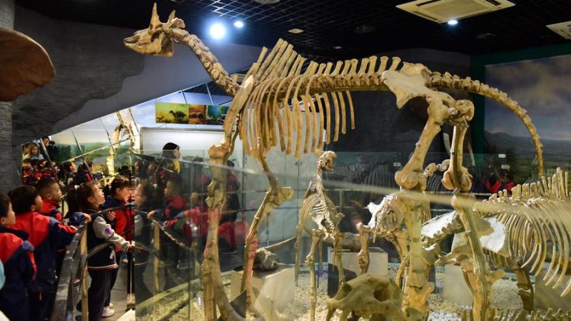 Proporção de cidadãos chineses com alfabetização científica atinge 14,14%