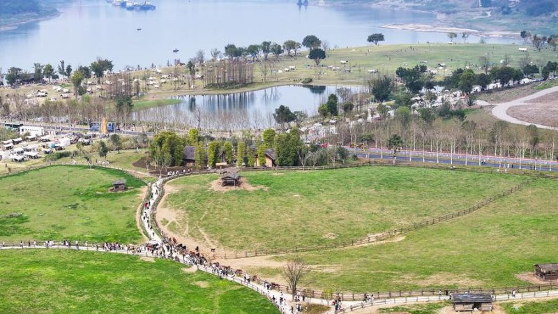 China restaura 6,7 milhões de hectares em iniciativa de remediação ecológica