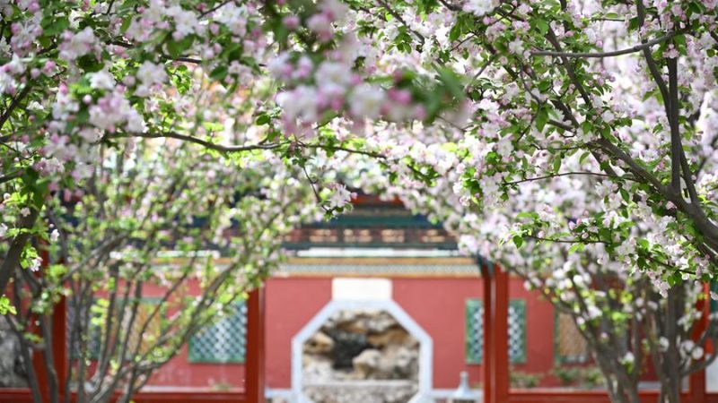 Museu do Palácio assina acordo para melhorar a acessibilidade