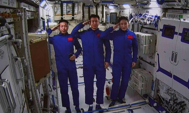 Sementes de oliveira da estação espacial da China germinam na Terra