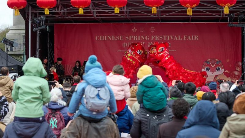 Aproveitando a Festa da Primavera e a cultura chinesa em Bruxelas