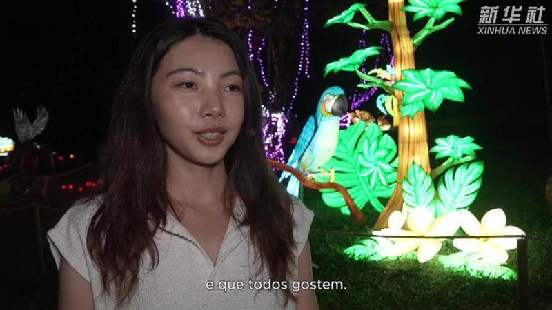 Esculturas chinesas encantam São Paulo em um espetáculo de cor e brilho