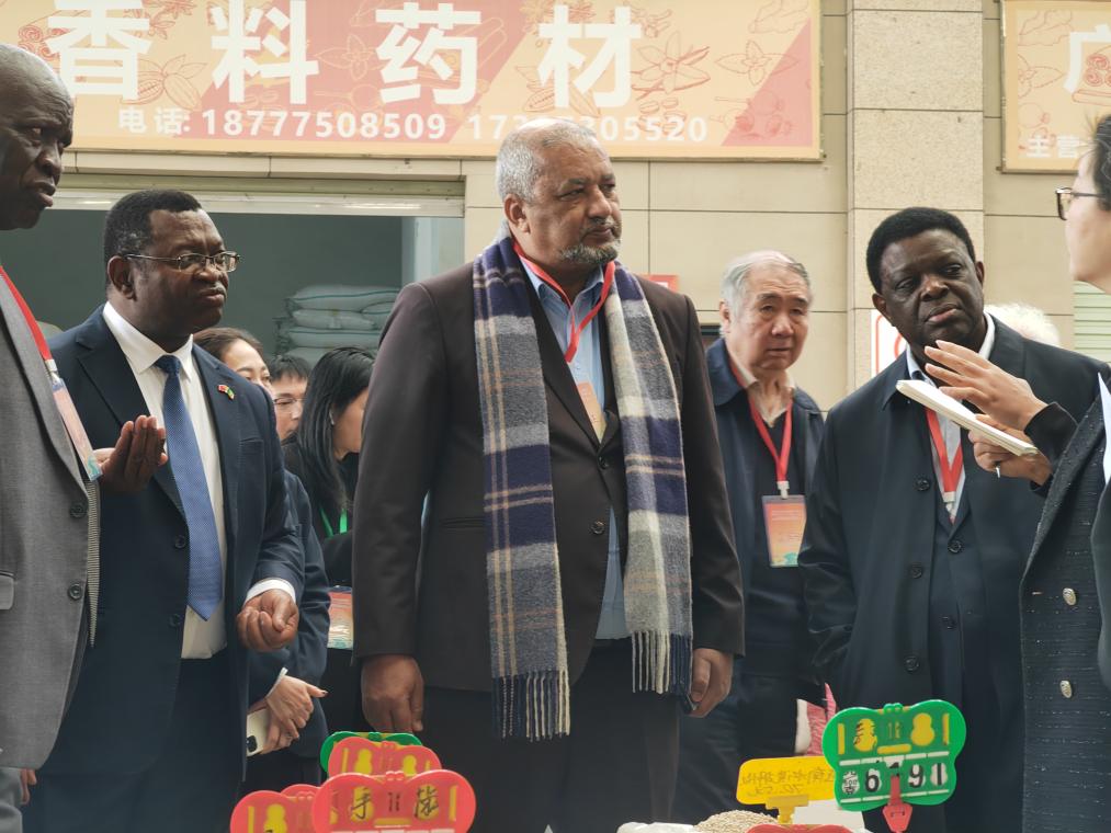 Diplomatas exploram potencial vibrante de cidade chinesa na cooperação com países lusófonos