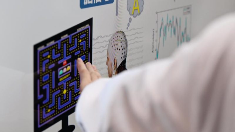 Cientistas chineses descobrem esquema complexo do córtex cerebral humano