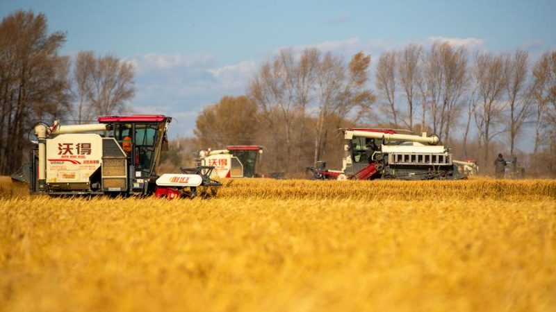 China define tarefas-chave para aprofundar reformas rurais e promover revitalização rural