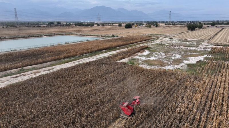  China expande programa de subsídio para substituir maquinário agrícola