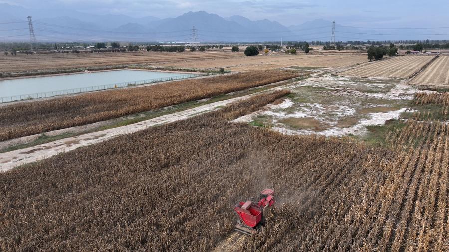  China expande programa de subsídio para substituir maquinário agrícola