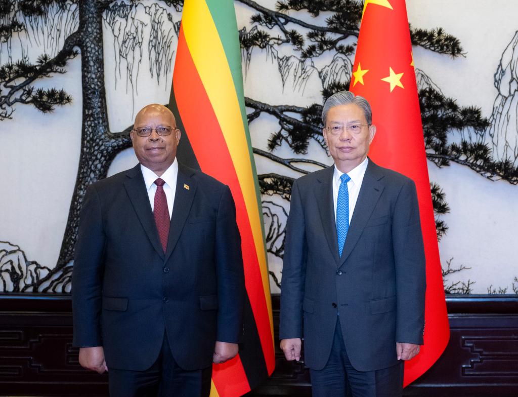 Principal legislador da China conversa com presidente do Parlamento do Zimbábue