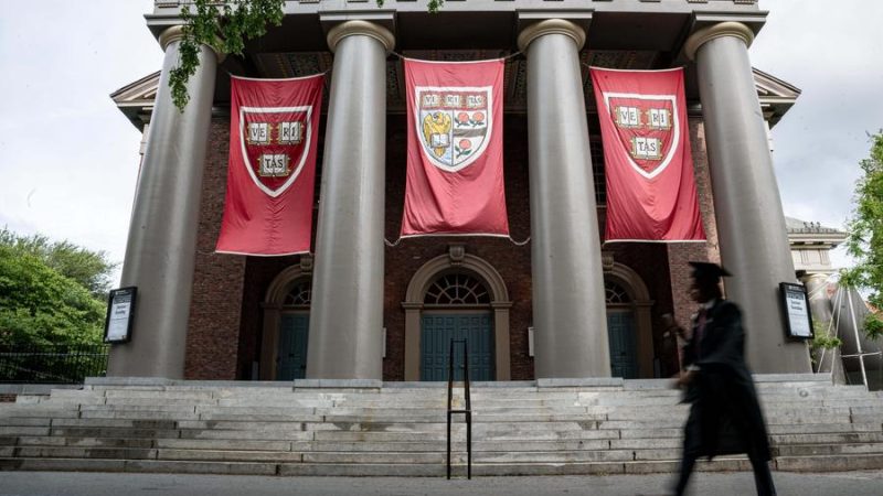 Chocados, irritados e preocupados – estudantes estrangeiros reagem à proibição de Harvard