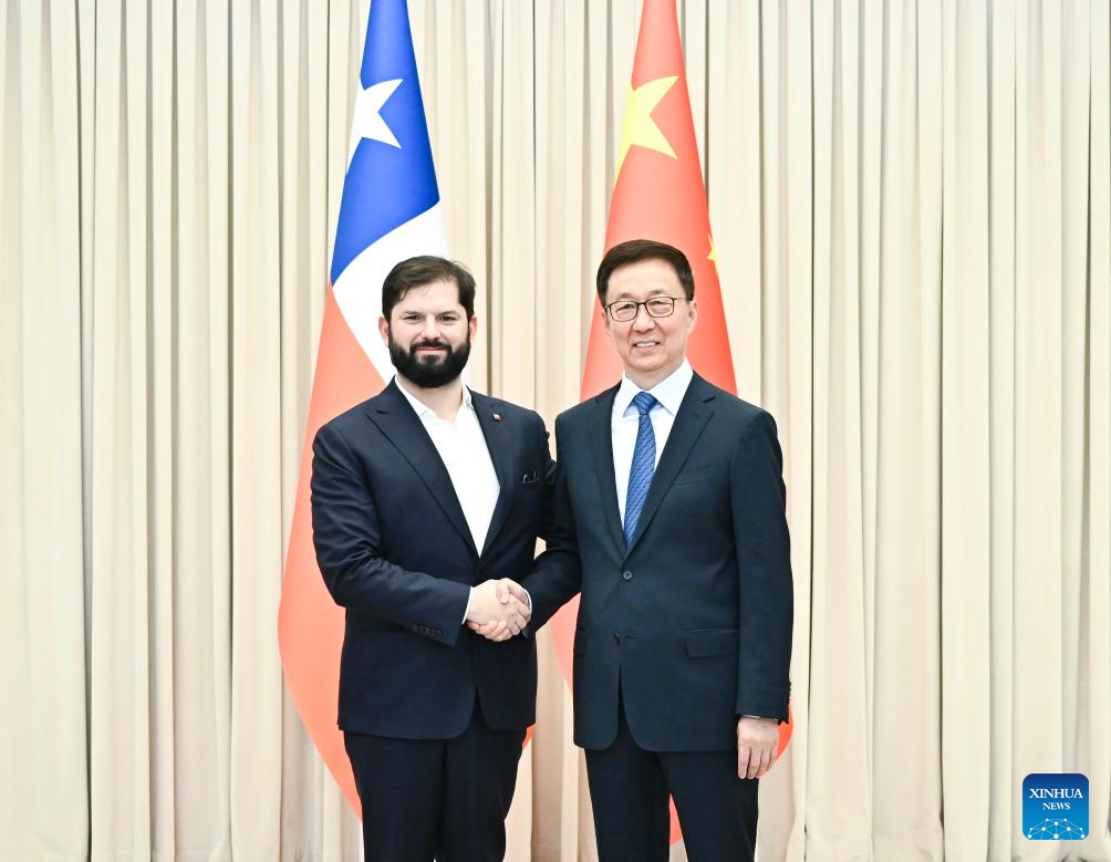 Vice-presidente chinês reúne-se com presidente chileno