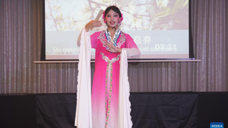 Competição de proficiência em chinês é realizada na África do Sul