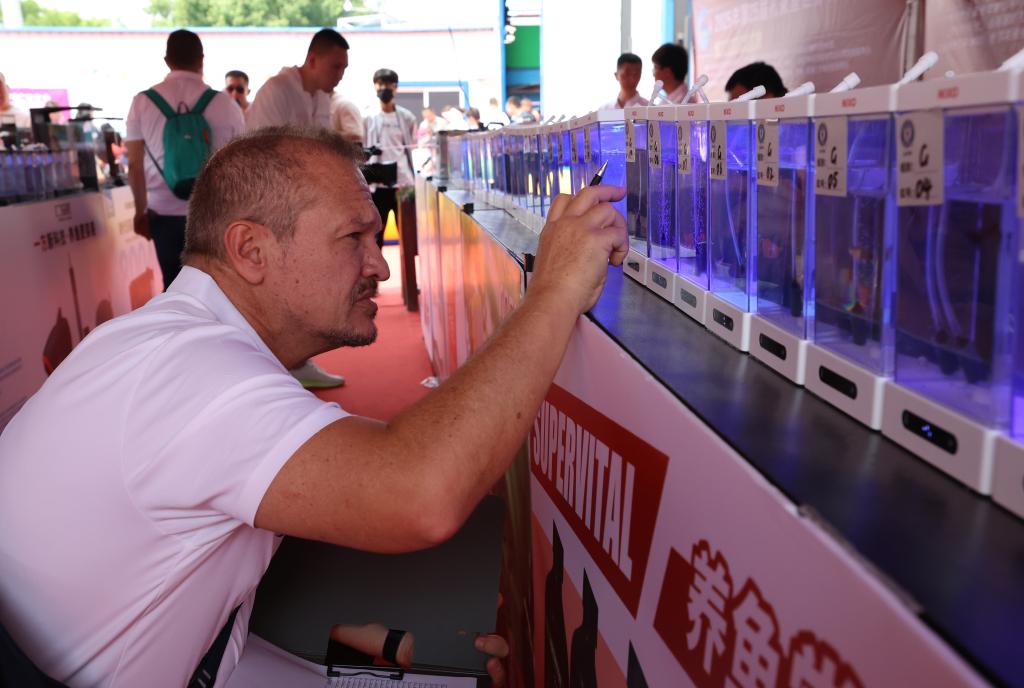 World Guppy Contest realiza-se na China com participação global