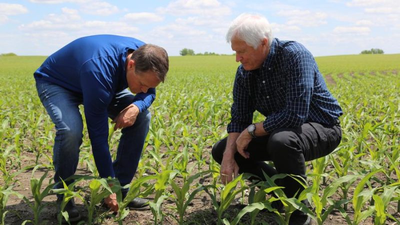 Agricultores de Iowa esperam relações comerciais estáveis ​​entre EUA e China