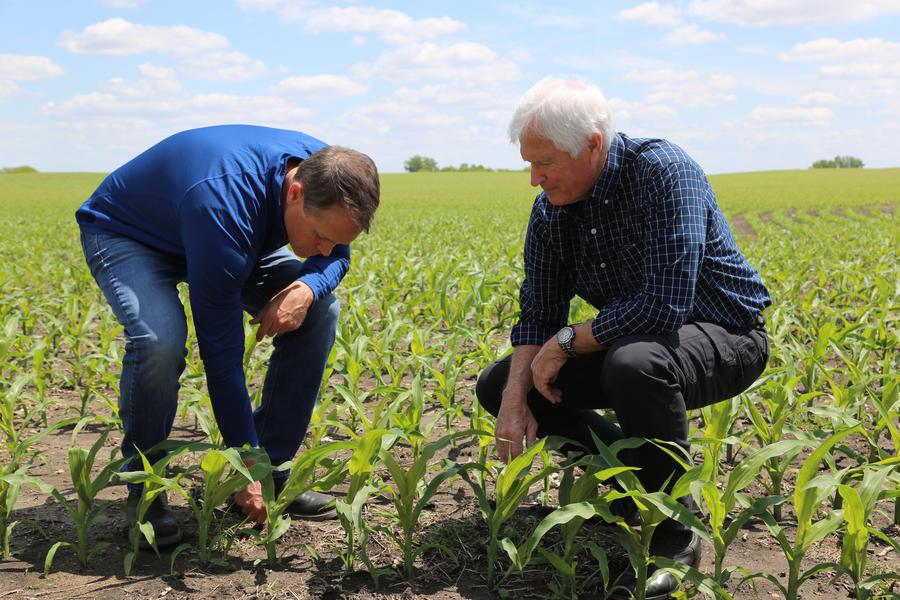 Agricultores de Iowa esperam relações comerciais estáveis ​​entre EUA e China