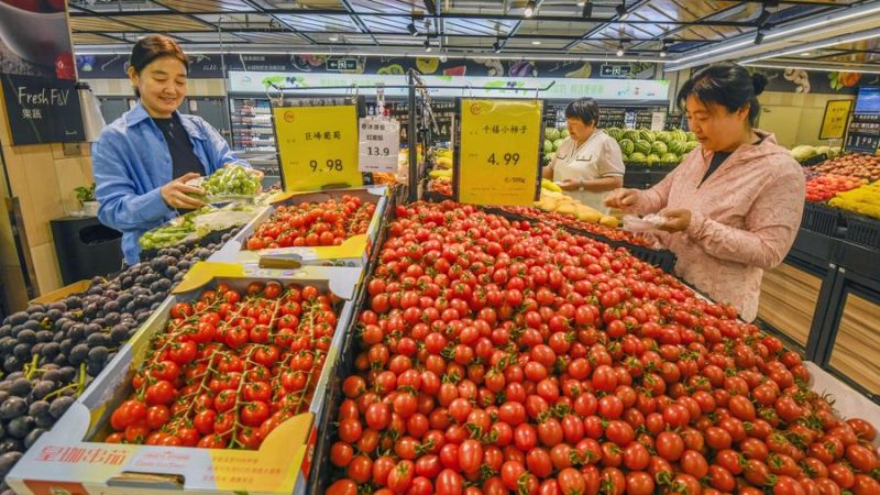 Dados do IVA da China refletem crescimento econômico estável em maio