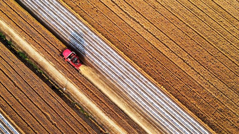 Especialistas em agricultura discutem aumentar a resiliência dos sistemas agroalimentares globais