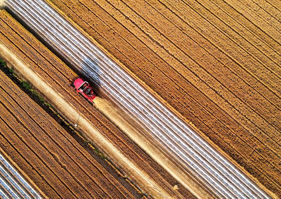 Especialistas em agricultura discutem aumentar a resiliência dos sistemas agroalimentares globais