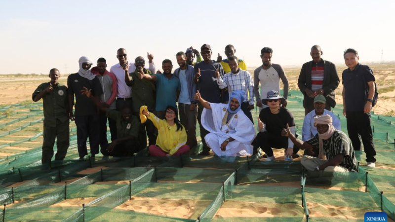 Uma missão compartilhada: Tornar os desertos da África mais verdes com a experiência chinesa