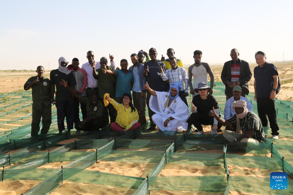 Uma missão compartilhada: Tornar os desertos da África mais verdes com a experiência chinesa