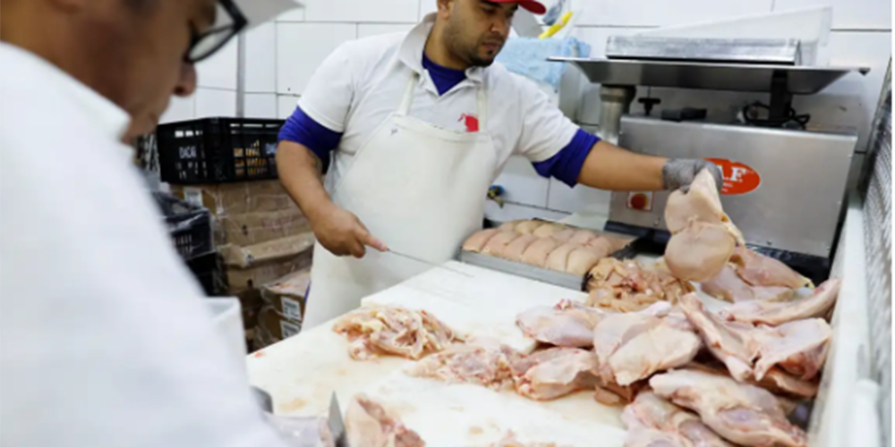 Brasil anuncia que 17 países suspenderam restrições à importação de frango após caso de gripe aviária