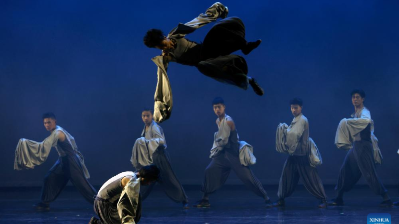 Dança dramática de kung fu chinês cativa público romeno