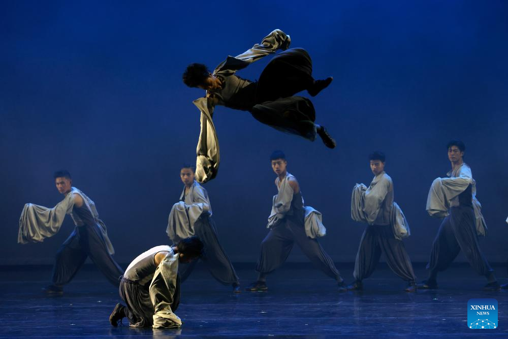 Dança dramática de kung fu chinês cativa público romeno