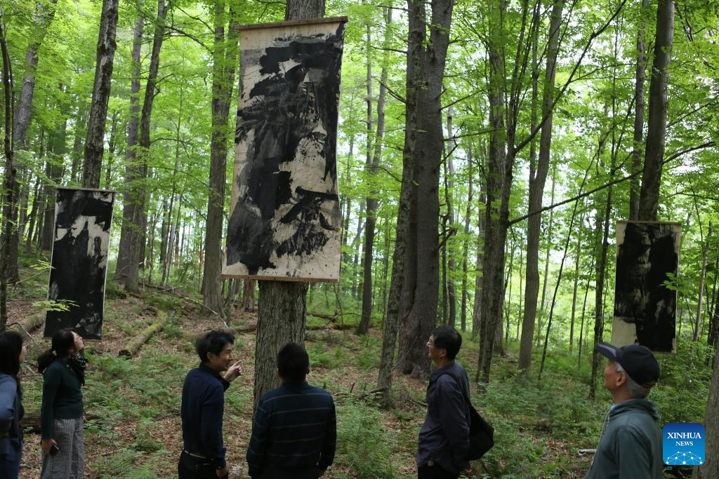 Destaque: Artistas chineses testam influência da natureza em floresta de Massachusetts, nos EUA