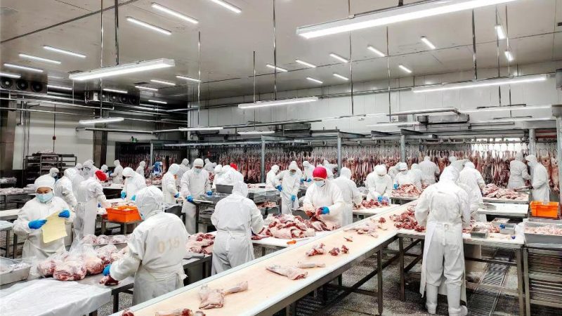 Carne bovina brasileira vira hot commodity entre empresas chinesas de abate