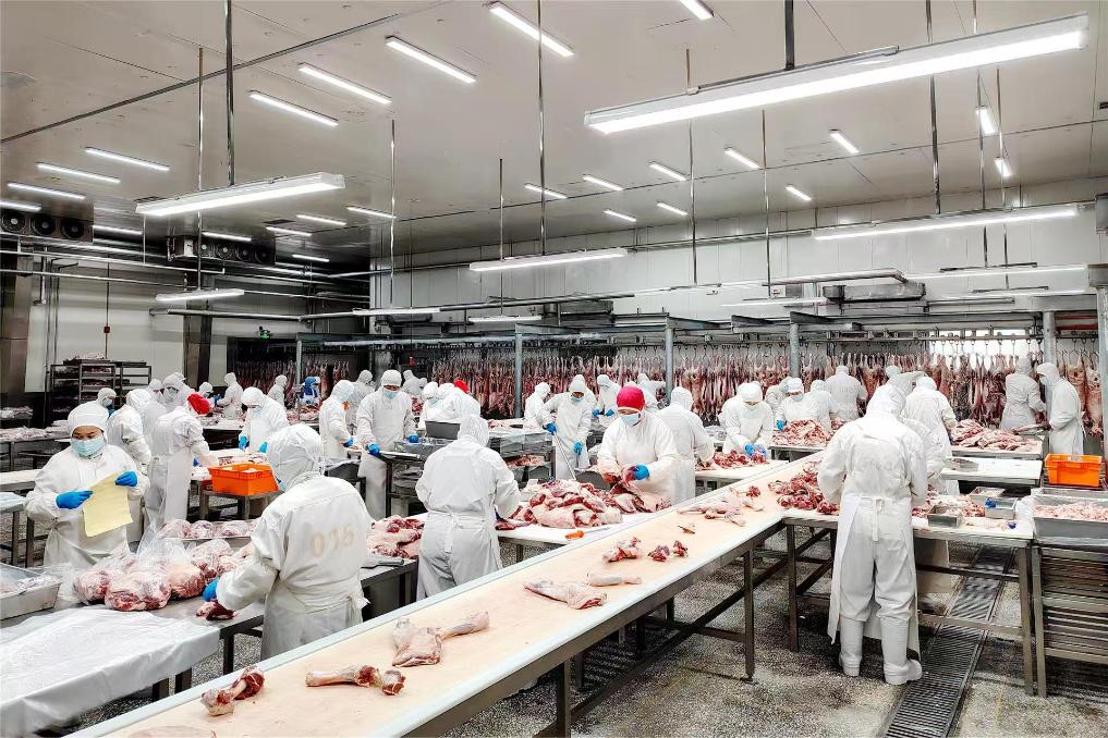 Carne bovina brasileira vira hot commodity entre empresas chinesas de abate