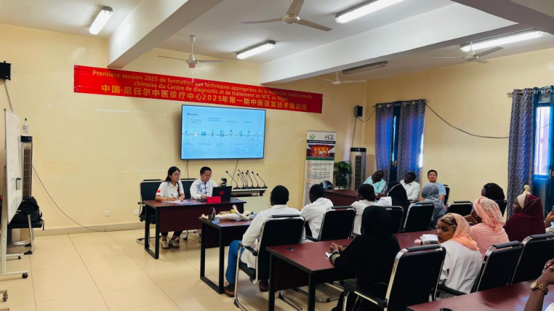 Treinamento aprimora habilidades em Medicina Tradicional Chinesa entre profissionais de saúde nigerianos